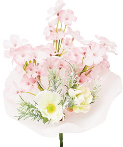 Я�����ׯ��M