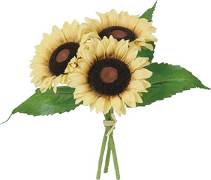 �ݸ�����������