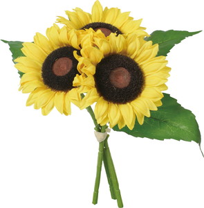 �ݸ�����������