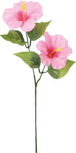 ハイビスカススプレー