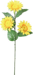 ソニアサンフラワースプレー