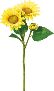 ������ؽ��ڰ