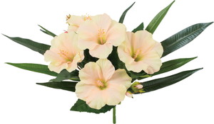 元上代¥680 ハイビスカスミックスブッシュ