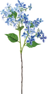 �޸��޻����ڰ