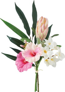 ����く980 ʲ�޽��Я������