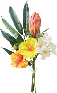 ����く980 ʲ�޽��Я������