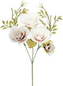 ۰��Я���ޯ��