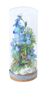 ��������ܰSummer