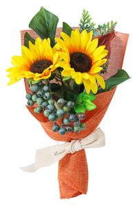 ���ް� S ����