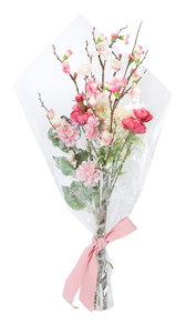 ���ް� M ���