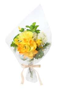 ���ް� M �ӻ�
