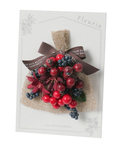 ��ܰ����Autumn