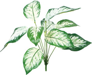 UV�������ޯ��