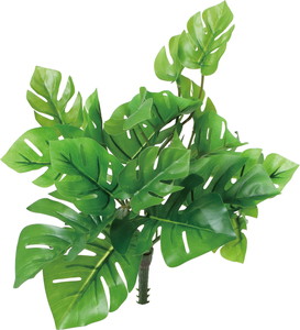 ���ݽ���ޯ��