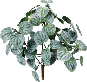 ������бޯ��