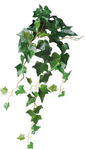 ػ��ٱ��ް�ޯ��