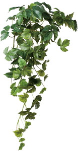 元上代¥1200 エレンダニカハンガー