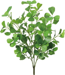 ʰ�ذ��ޯ��