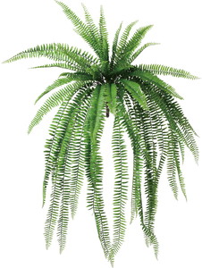 �ެ����޽��̧���ޯ��