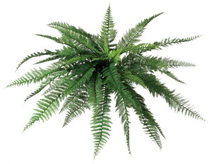 �ެ���ڻް̧��ޯ��