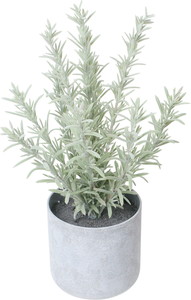 30CM۰���ذ�߯�