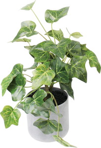 30CM���ް�߯�