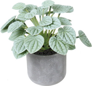 20CM�����б�߯�