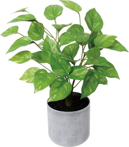 30CM��Ľ�߯�