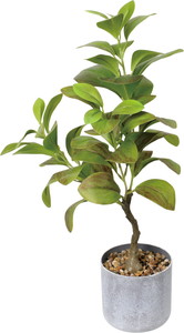 ����く1800 50CMذ��߯�