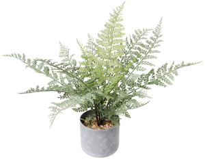 60CM��ް�߯�