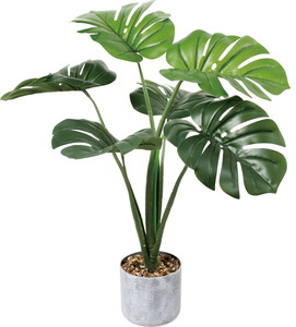 ����く2400 60CM�ݽ���߯�