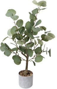 60CMհ���߯�