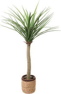 90CMկ�۽��-�