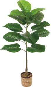 100CM����װ��߯�