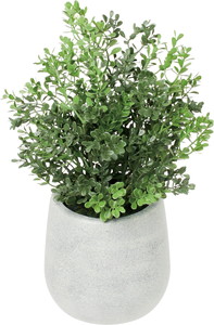 �ޯ�������߯�