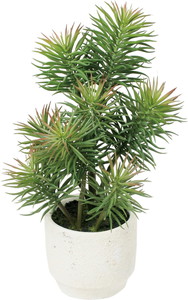 ��������߯�