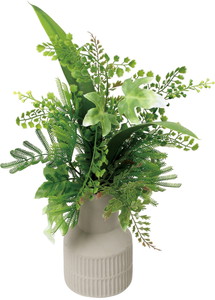 ��ޱ���Я����ݼ�M