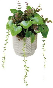 հ��Я��׳��ޱ�ݼ�M