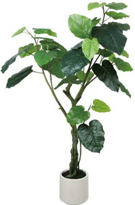 ����װ��߯�