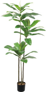 �y�����ʓrB�z180CM��̧�ı����