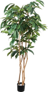 �y�����ʓrB�z180CM����ݺ��