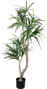 �y�����ʓrA�z150CM�׽����׾�