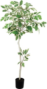 160CM̨����ü�