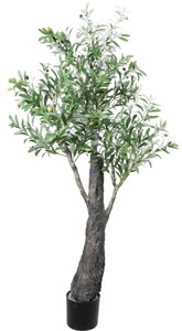 170CMܲ����ݸ�ذ��