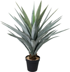 �y�����ʓrA�z115CM�����