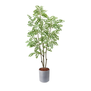 �y5�����ɗ\��z�y�����ʓrB�z180CM��غ