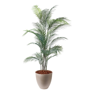 �y5�����ɗ\��z�y�����ʓrA�z150CM�ڶԼ