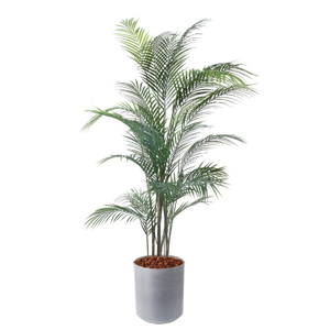 �y5�����ɗ\��z�y�����ʓrA�z150CM�ڶԼ