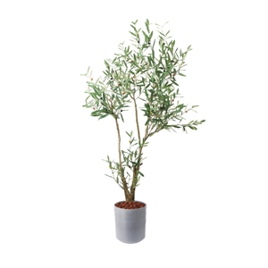 �y5�����ɗ\��z�y�����ʓrB�z180CM�ذ��