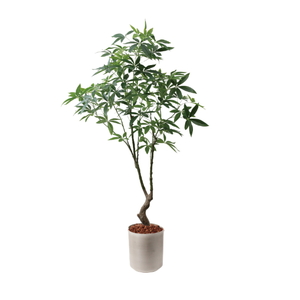 �y5�����ɗ\��z�y�����ʓrB�z180CM�߷�